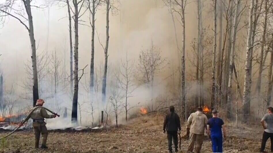 Пожары в тюменской области за последние сутки лесные карта