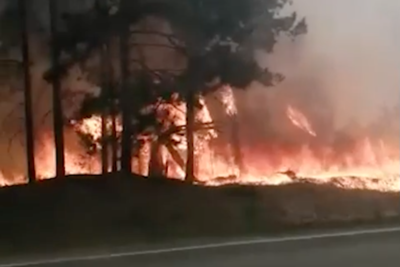    Лесной пожар в поселке Первомайский Свердловской области ©Telegram-канал SHOT