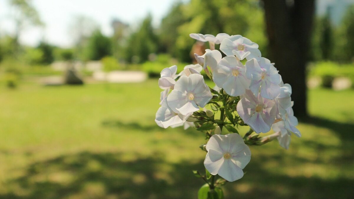     Тепло и солнечно будет в Ростове на этих выходных, сообщили синоптики.