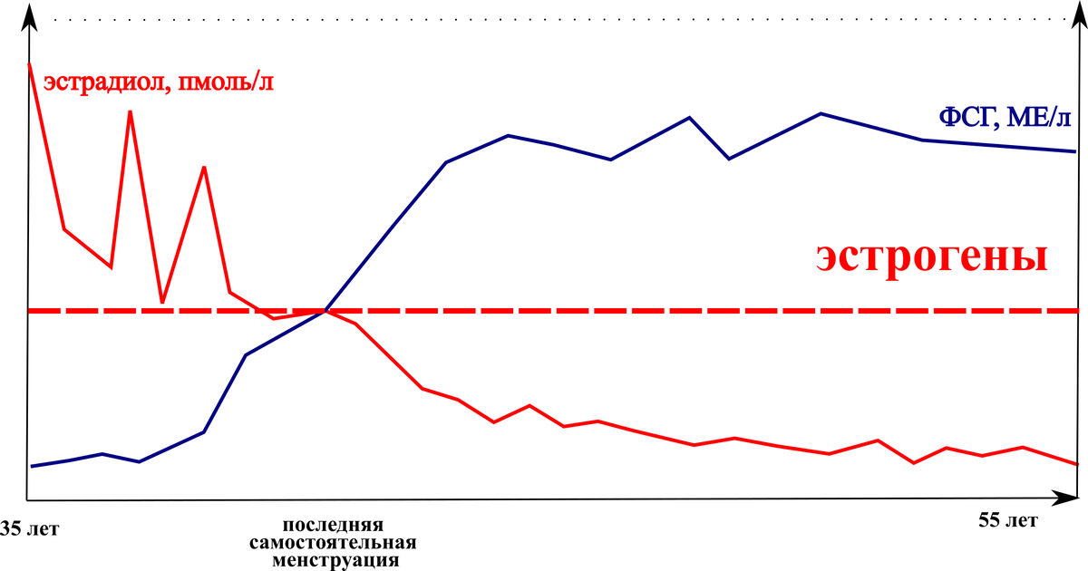 Механизм действия лекарственных эстрогенов