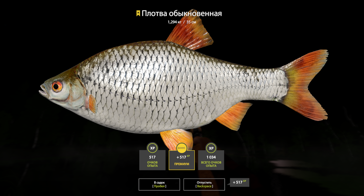 Троф плотвы залет