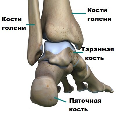 Боль в голеностопе – причины, симптомы, диагностика и лечение