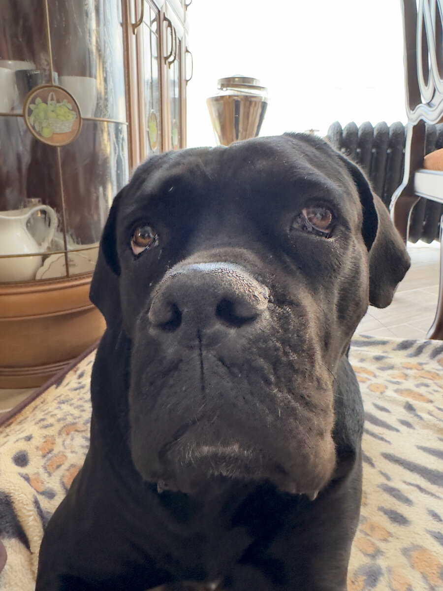 Нора Антоновна в утреннем недоумении. Фото автора.