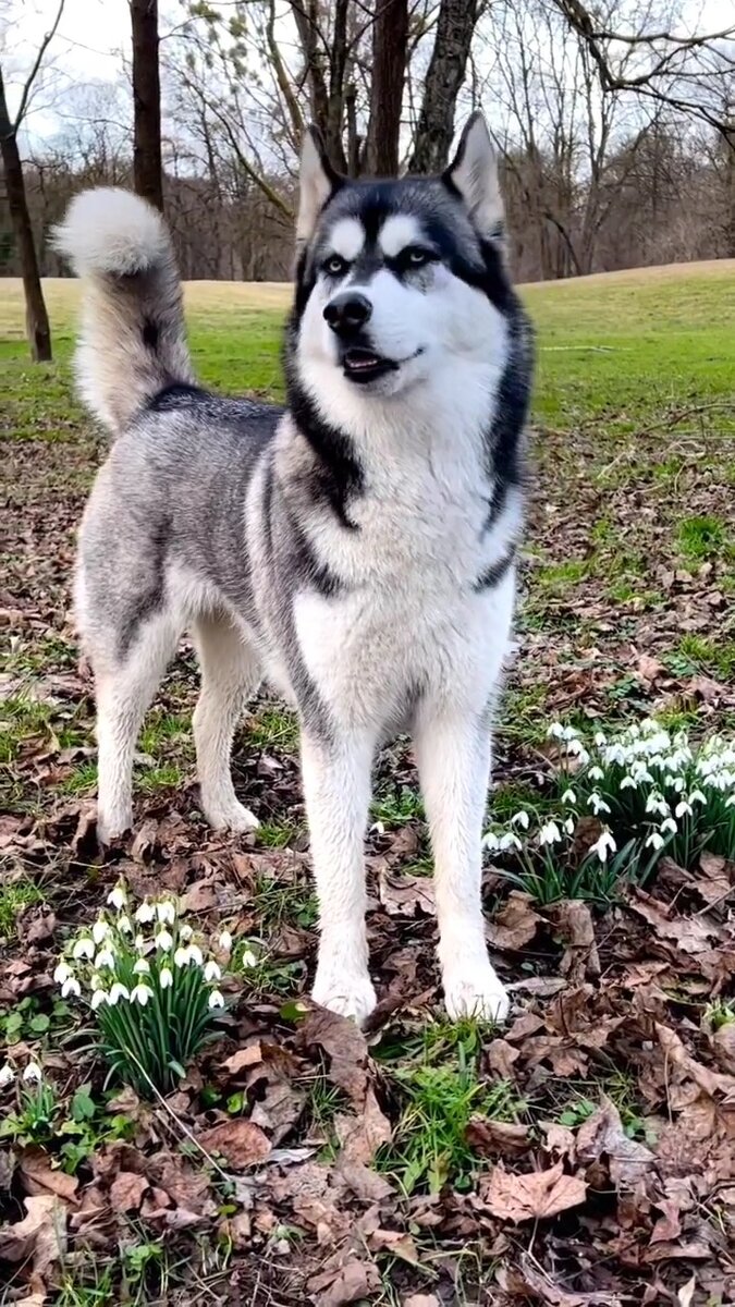 Фото автора Весной