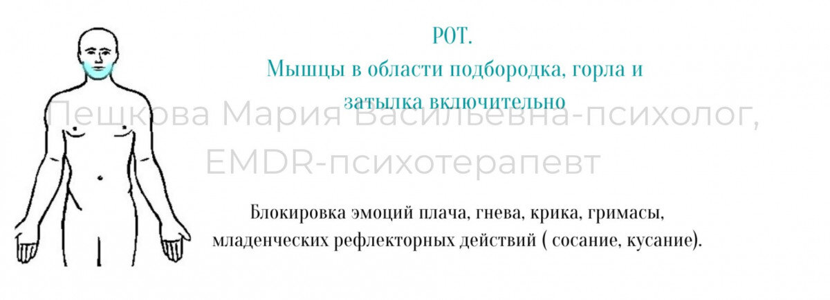 Часто задаваемые вопросы: Виды насилия в отношении женщин и девочек