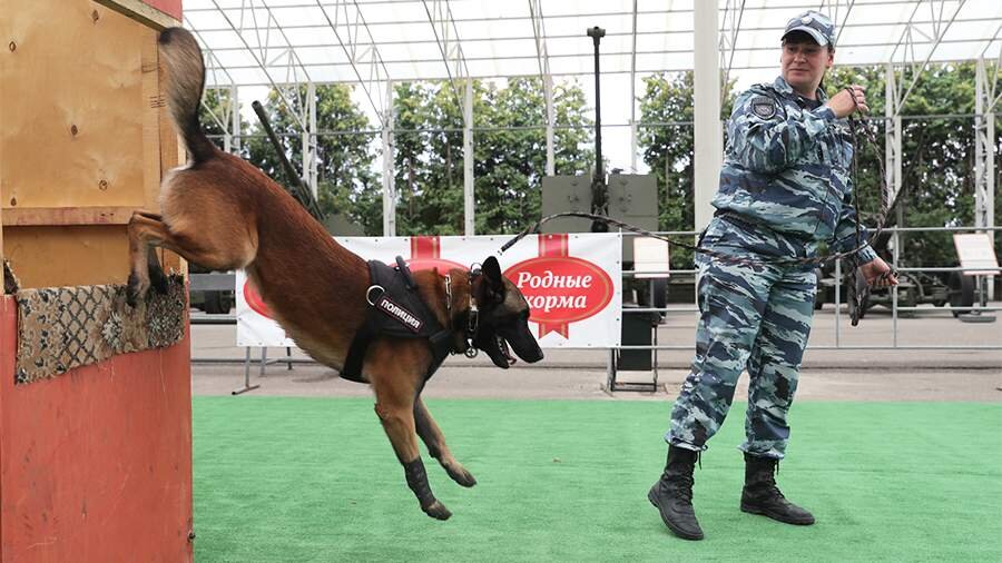Фото: ИЗВЕСТИЯ/Андрей Эрштрем