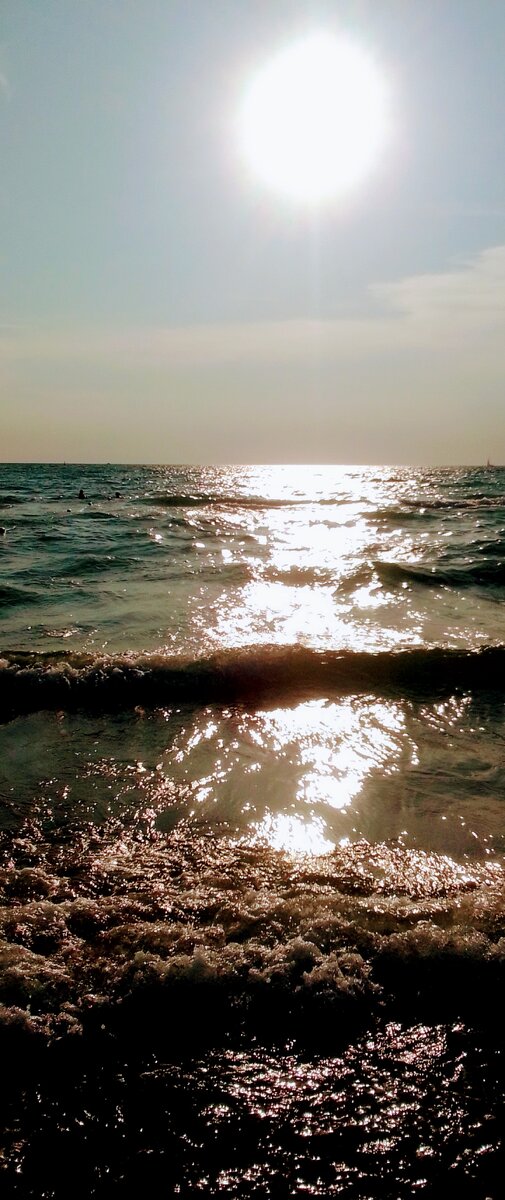 -Ну,что ты там замешкался?-услышал он недовольный голос дяди Васи.-Солнце уже садится,пора возвращаться на остров Беринга. Фото к рассказу "Топорок" книги "Командоры" Автор рассказа "Топорок" книги "Командоры" и фото В.А.Галашевский 22 июня 2023 г.