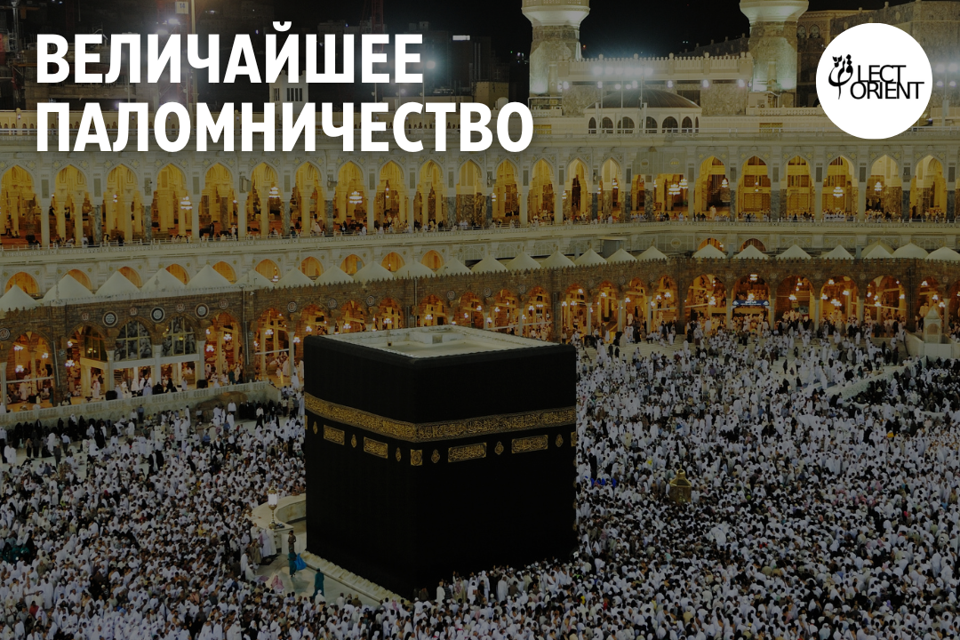 Фото взято из открытого фотостока Canva