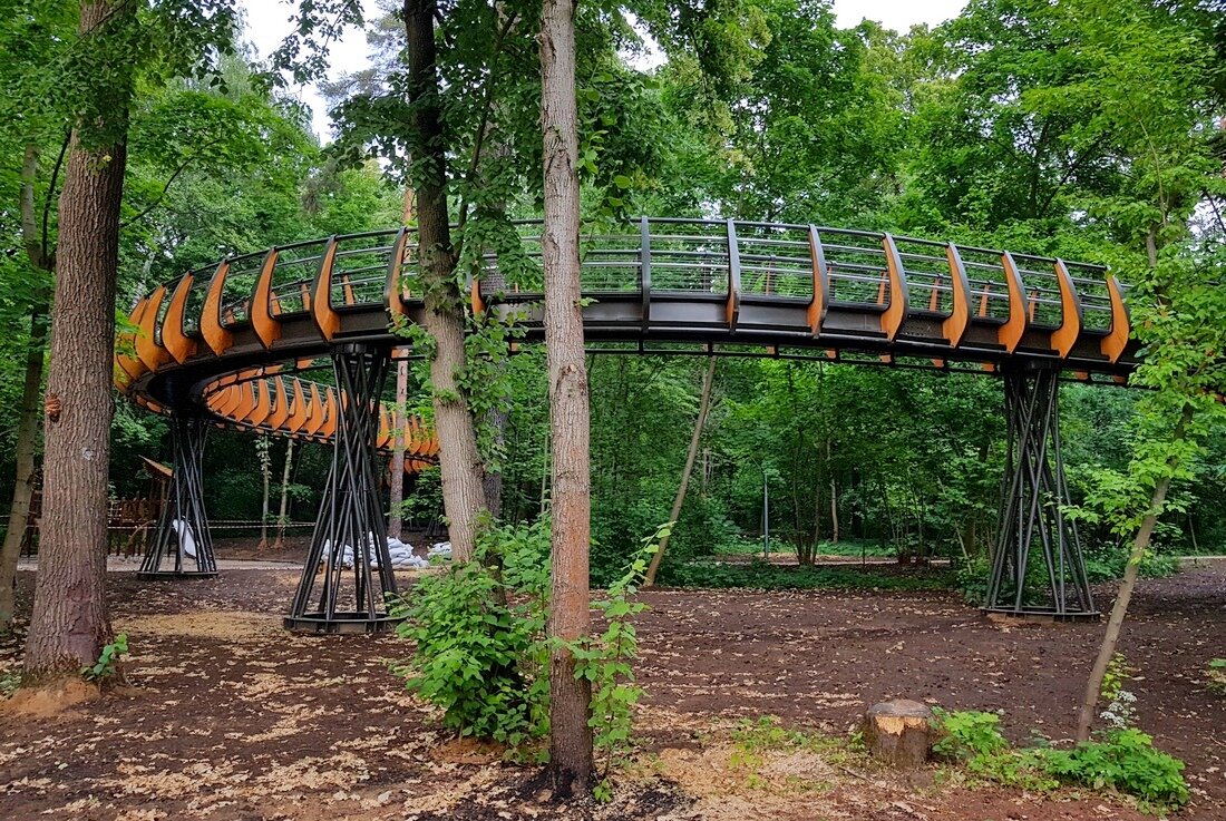 Воздушная экотропа (фото взято из открытых источников)