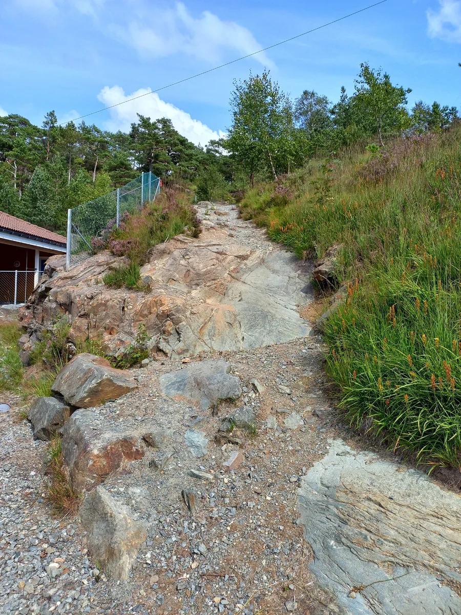 Тропа на холм.