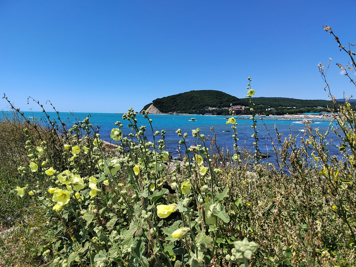 Джубга. Фото автора канала.