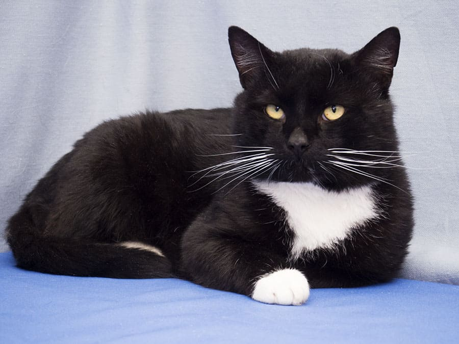 (из интернета)