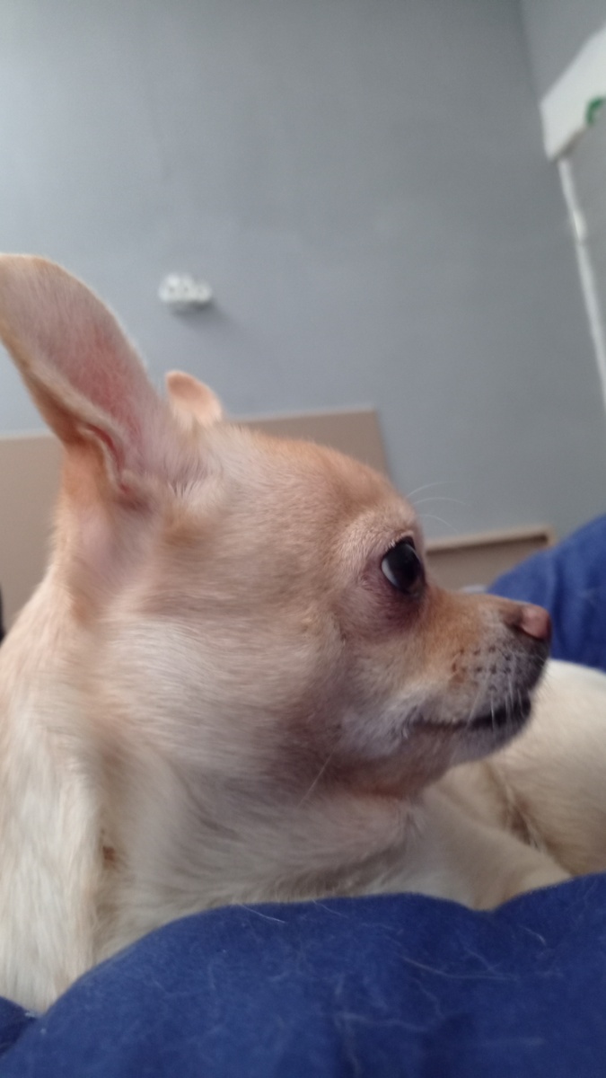 Санюша что-то слышит