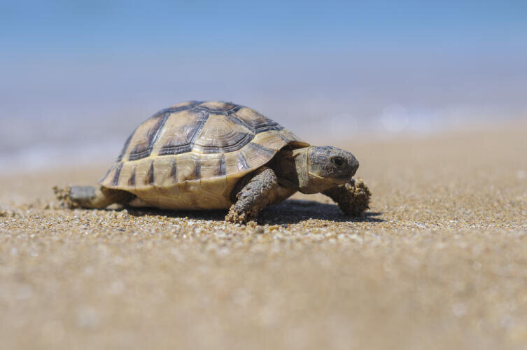    Фото: Depositphotos