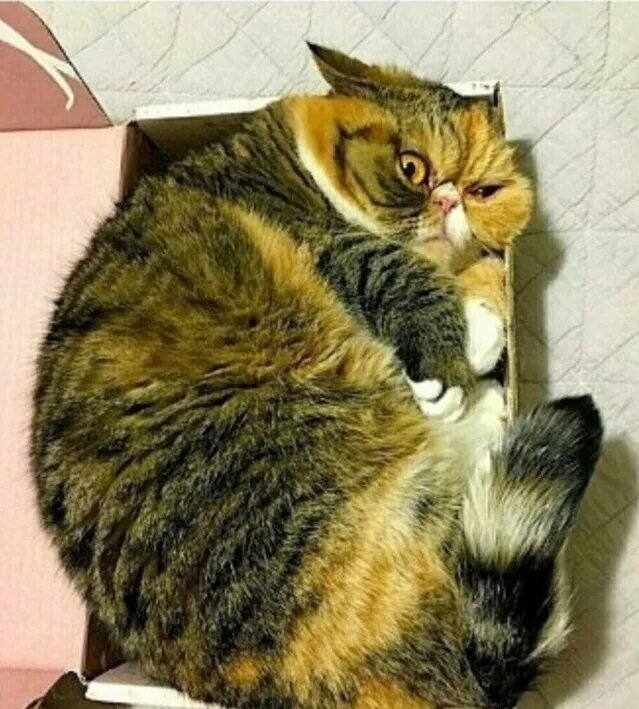 Из интернета 