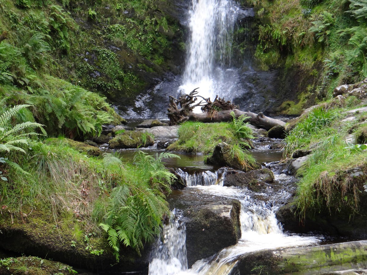 Начало Afon Rhaeadr