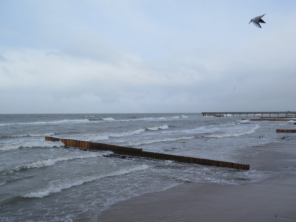 Вода в зеленоградске сегодня балтийском море