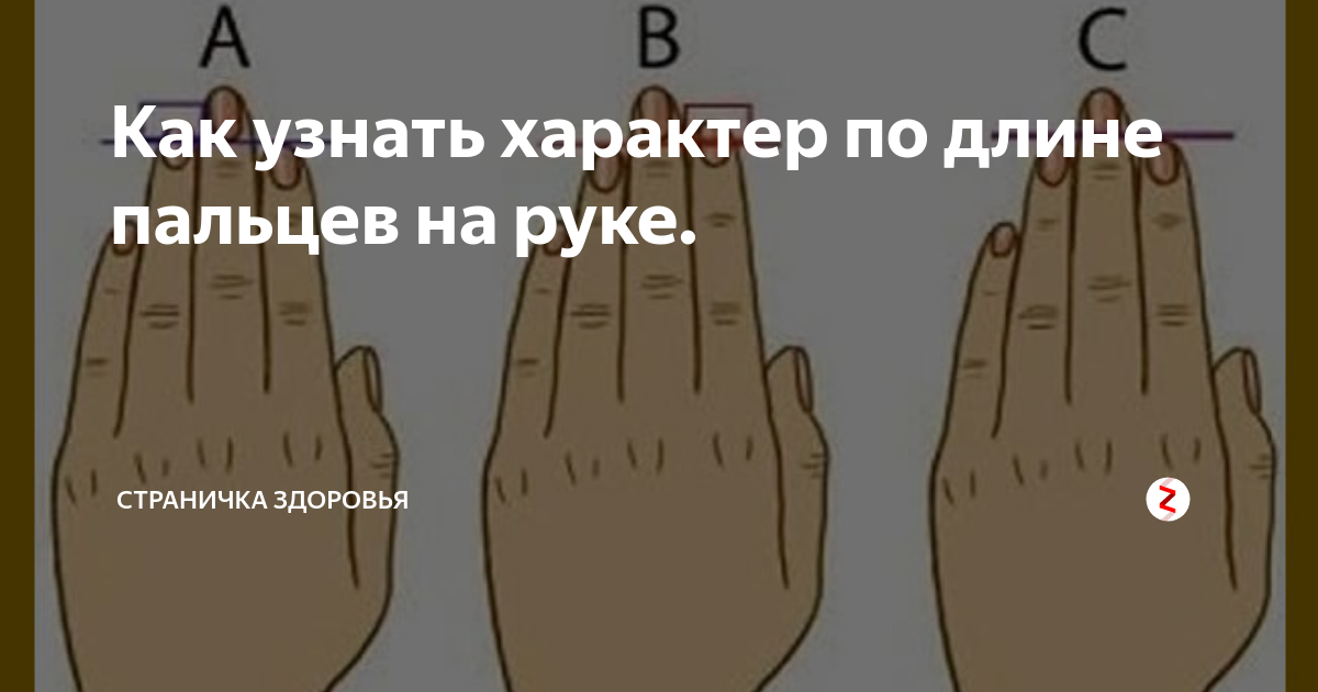 Длина пальцев женщин. Характер по длине пальцев рук. Характер по руке. Тип человека по пальцам рук. Как определить характер по длине пальцев.