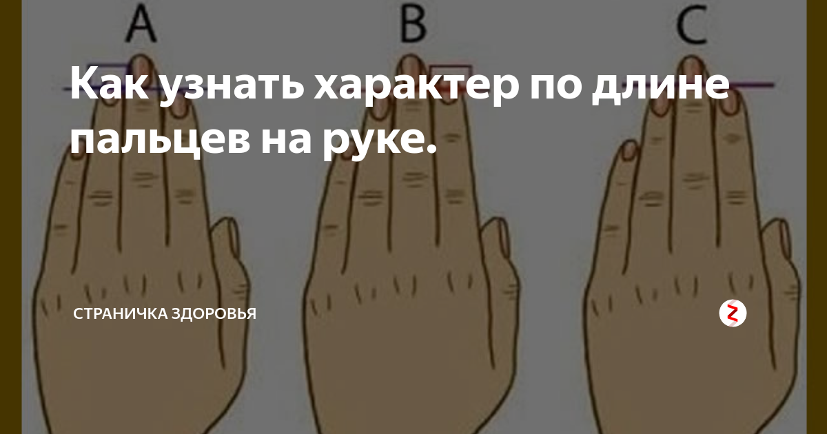 Форма пальцев на руках о чем говорит с картинками