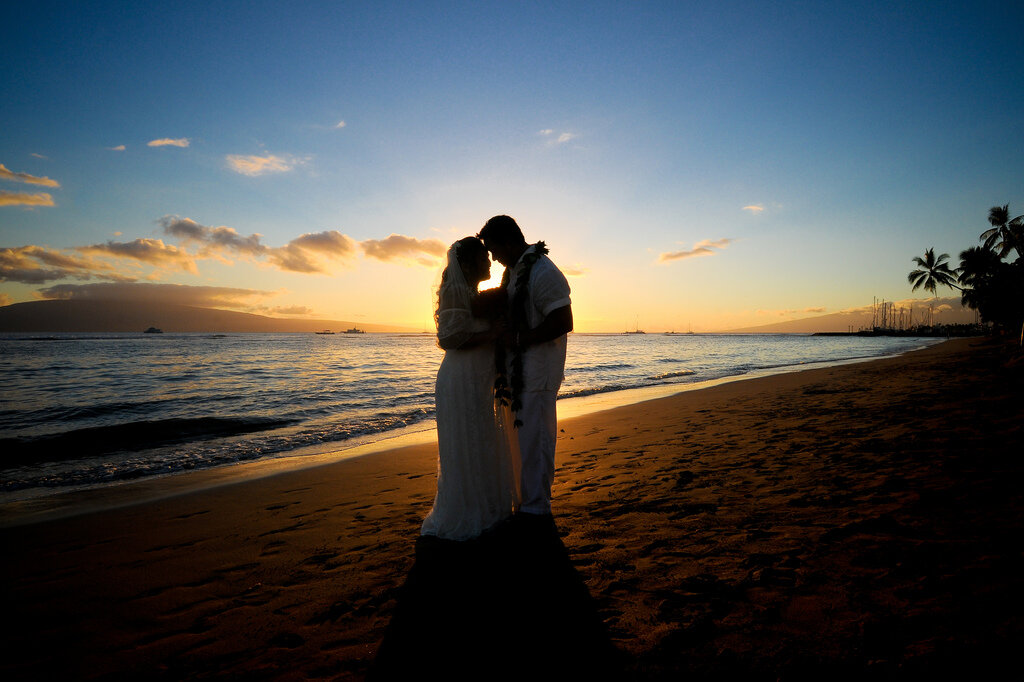 фото:https://www.flickr.com/photos/34721916@N07/4903841982/                                                                                