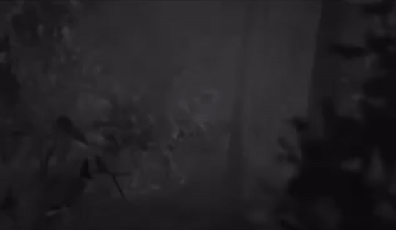 Первая часть с самого начала встречает не очень дружелюбно.