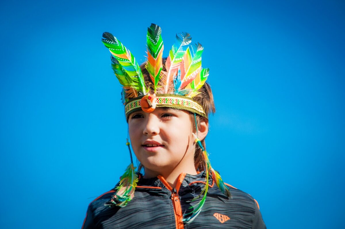 Красим перья. Для роучей и украшений | Живые вещи | Дзен