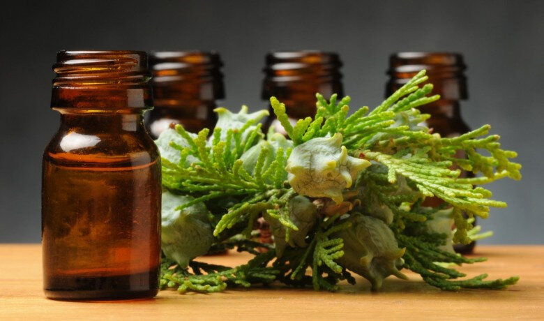 Эфирное масло кипариса