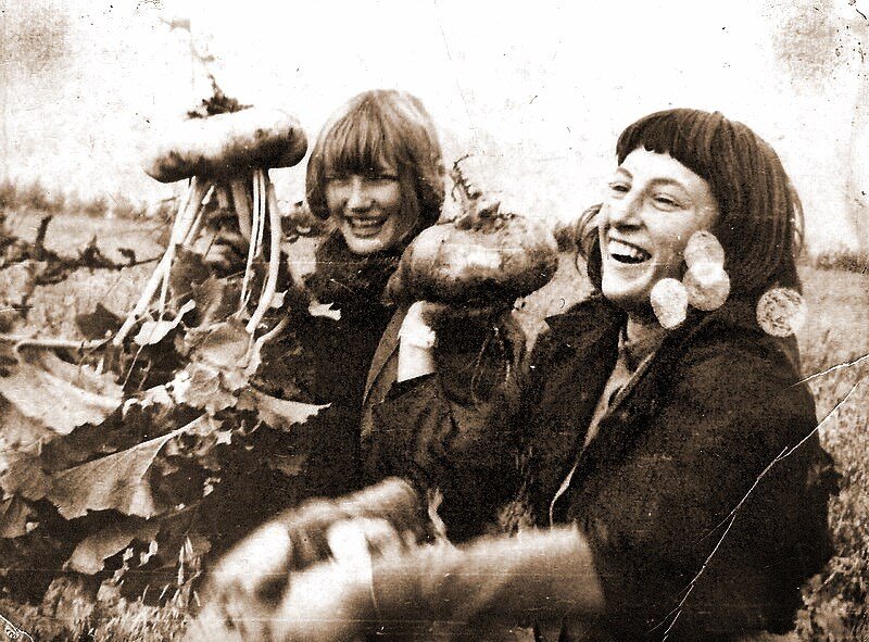 фото с сайта newslab.ru