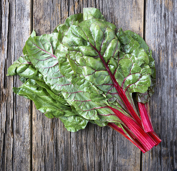 Листья мангольда нежные и вкусные, а корень не пригоден для еды