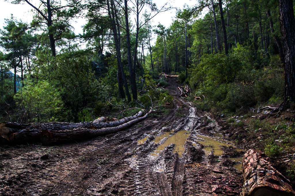«Великолепие» ликийской тропы 