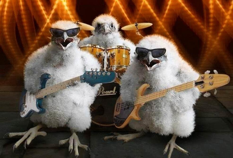 Фото из открытых источников Интернета.