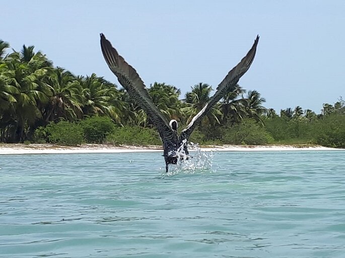 Самана фото из личного архива