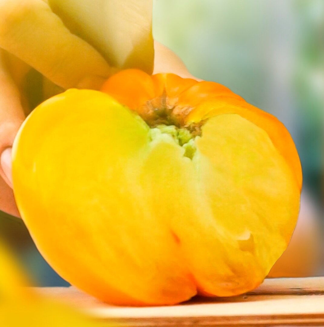 верлиока плюс. лучшие сорта томатов для теплиц 2022 г. сибирские селекционные сорта томатов. томаты лучшие сорта отзывы на 2019 год. кубовидные сорта томатов.