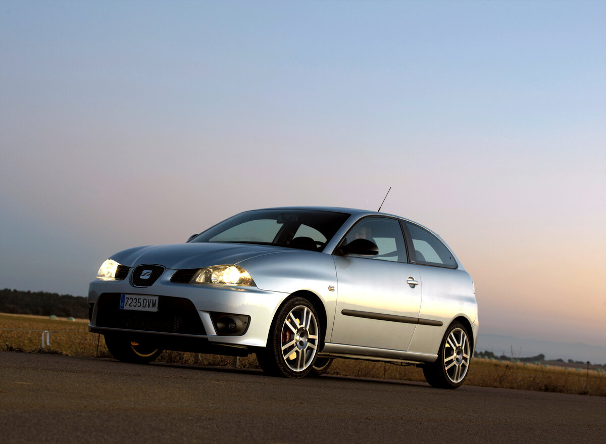 Seat Ibiza 2004 1 9 TDI Cupra