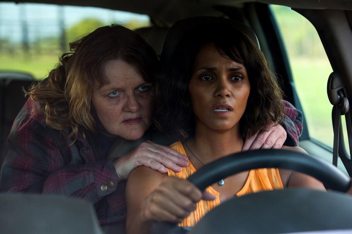 Фото с сайта Яндекс картинки.