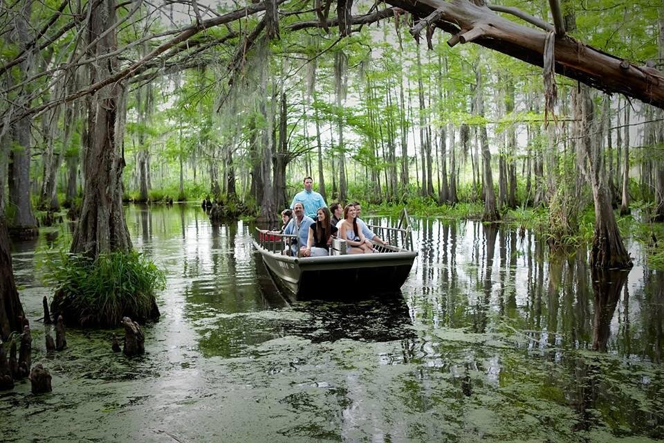 Река с нантом и орлеаном. Болото Манчак. Луизиана болото Манчак. Нью-Орлеан, Луизиана болота. Новый Орлеан штат Луизиана природа.