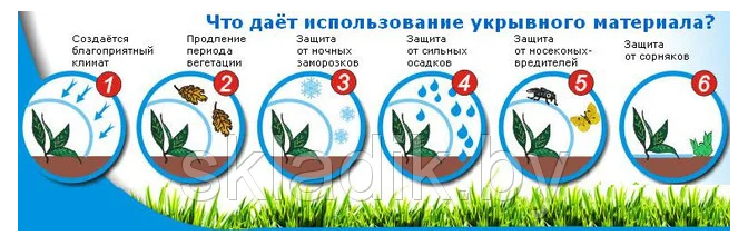 Преимущества спанбонда