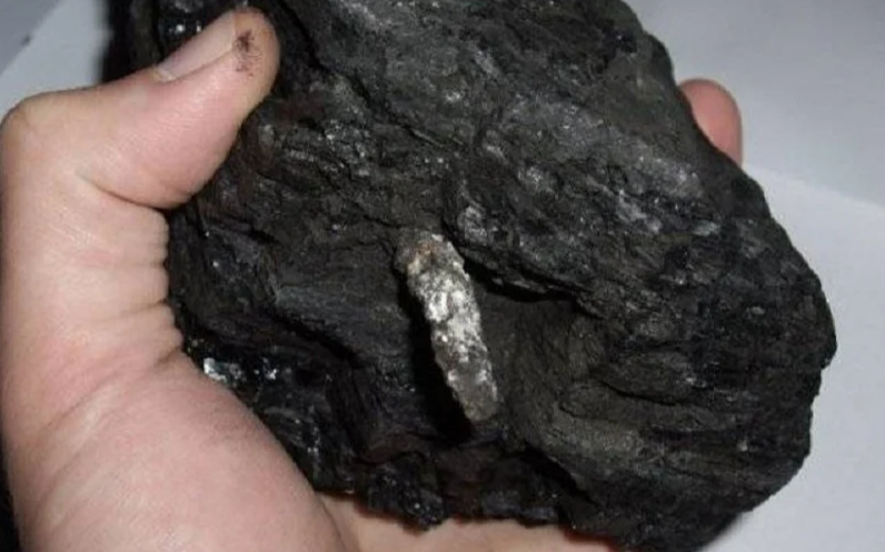 Фото: открытый источник.