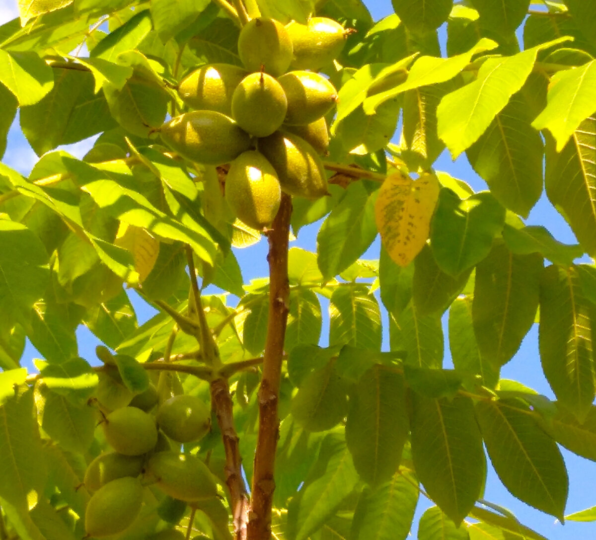 Что зашито в понятие биржевого фондового индекса.
