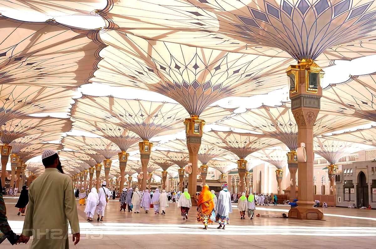 Знаменитые зонты Медины