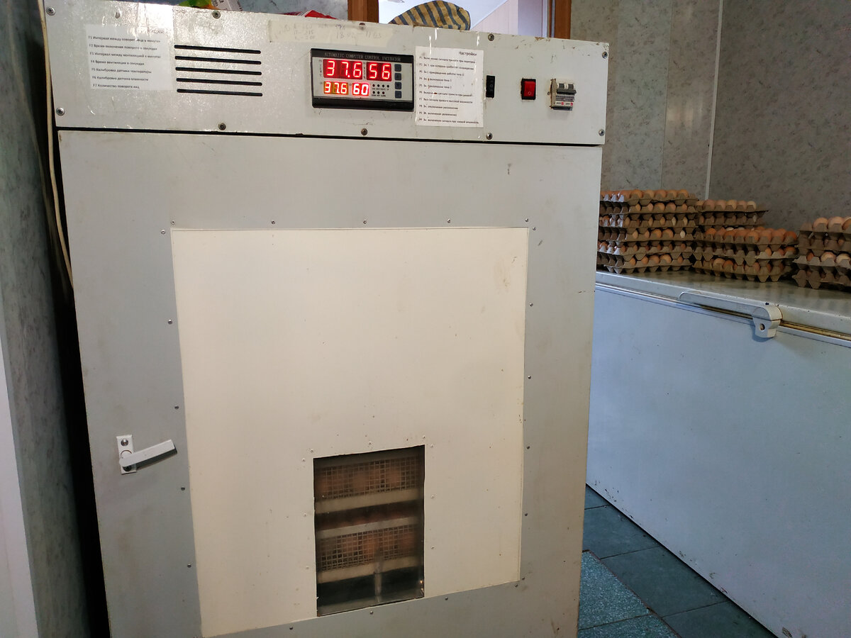 Инкубатор для яиц