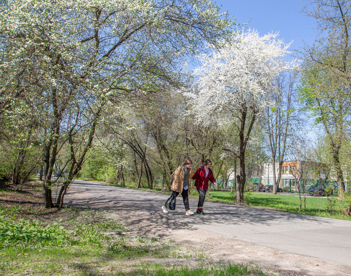 У природы нет плохой погоды, в любимой Щербинке всегда хорошо! | Люблю  Щербинку | Дзен