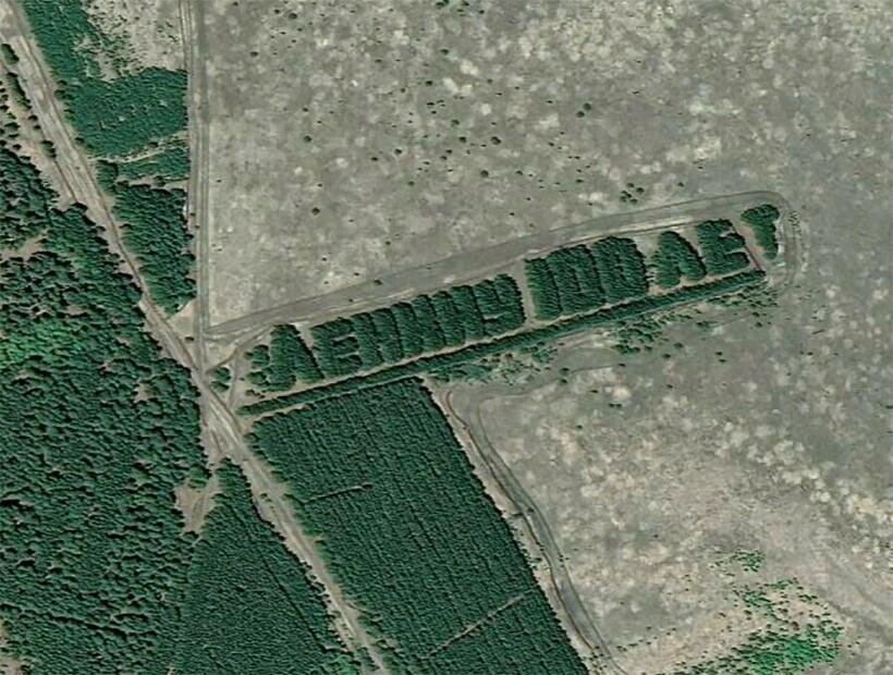 Курганская область. Вид со спутника.