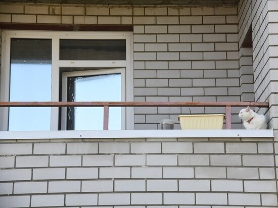 © ФОТО: ИД «ВОЛГОГРАДСКАЯ ПРАВДА» / АРХИВ.