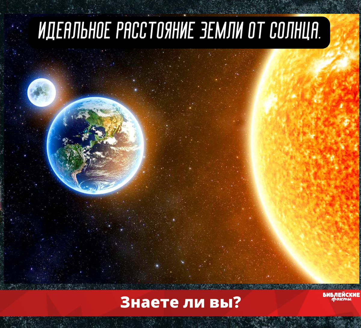 раст от земли до солнца фото 70