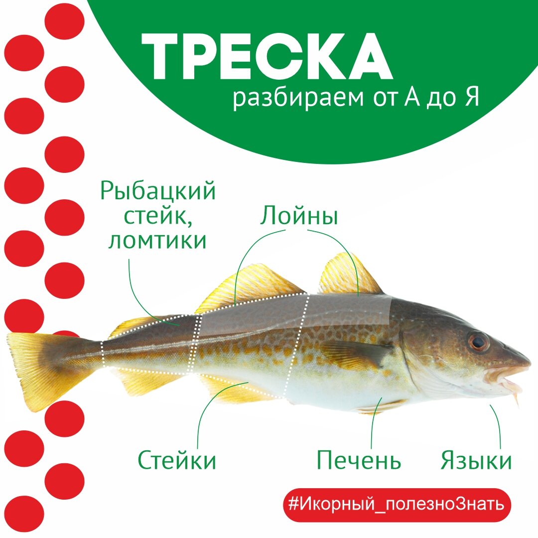 Треска тихоокеанская – вкусная и полезная рыба, вылавливаемая в экологически чистых водах России. 