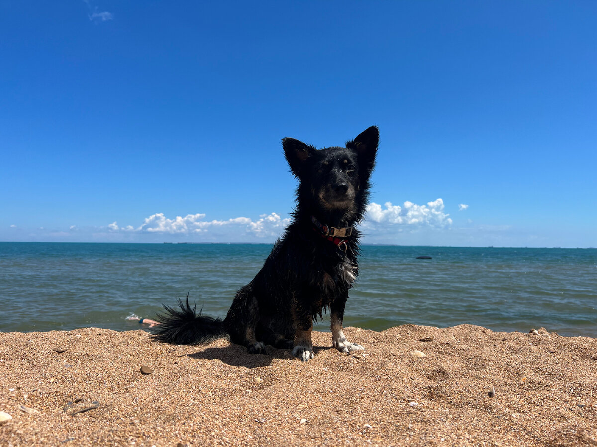 Пляж на перешейке с озером Тобечикским