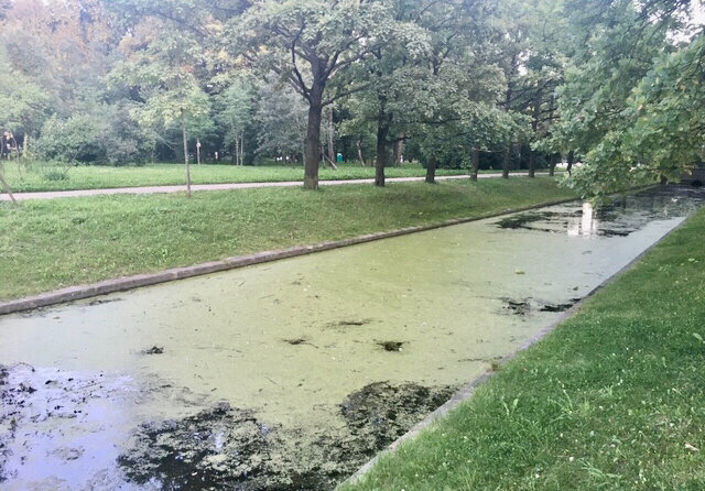 Фото: Московский парк Победы