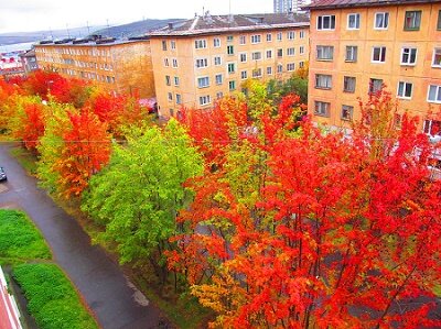 фото Сергея Юдкова