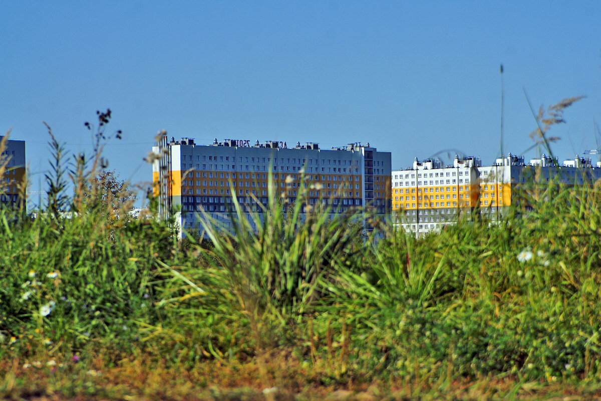 Вид на ДСК-вские многоэтажки, край "Заглобусья" со стороны пруда